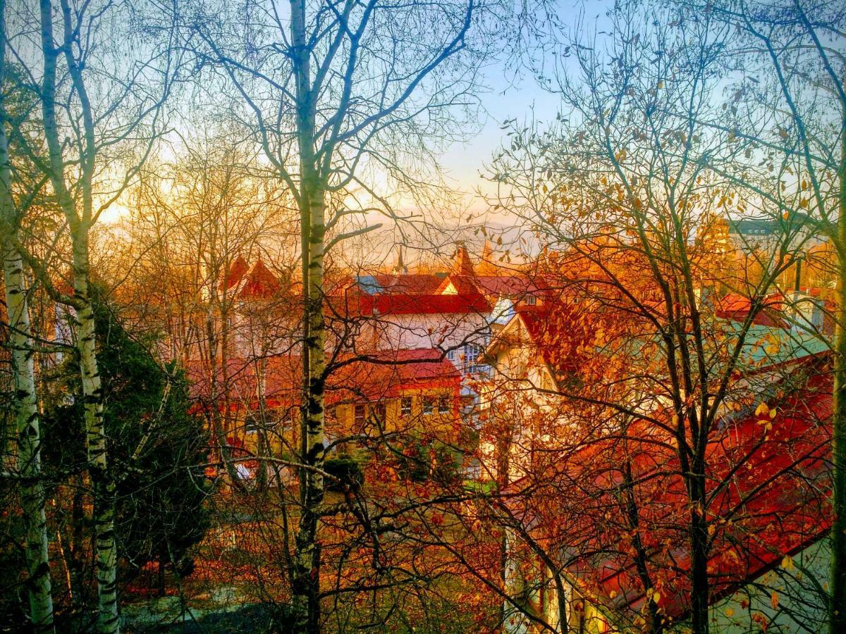 Apartment Lucy - Primo Tatry Stary Smokovec Vysoké Tatry Dış mekan fotoğraf