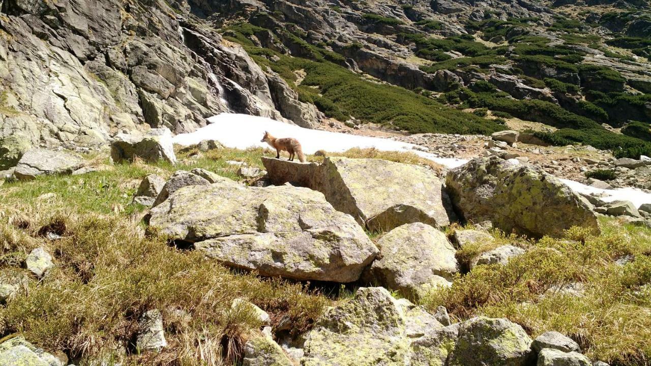 Apartment Lucy - Primo Tatry Stary Smokovec Vysoké Tatry Dış mekan fotoğraf